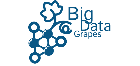 big data grapes